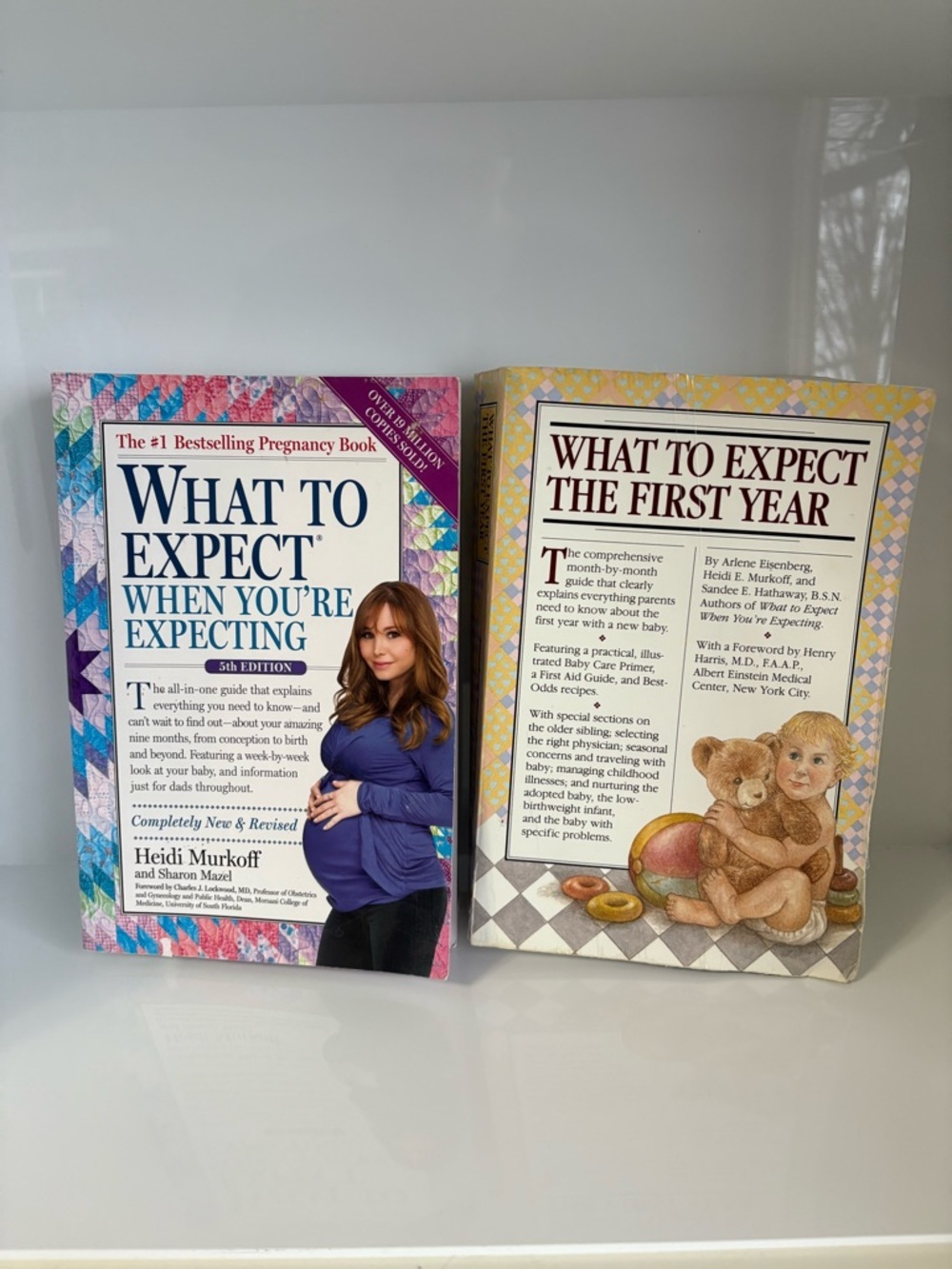 What to Expect When You’re Expecting and the First Year Book Bundle!